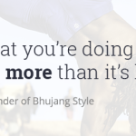 quote from Andy Salamone (founder of Bhujang Style) - helping more