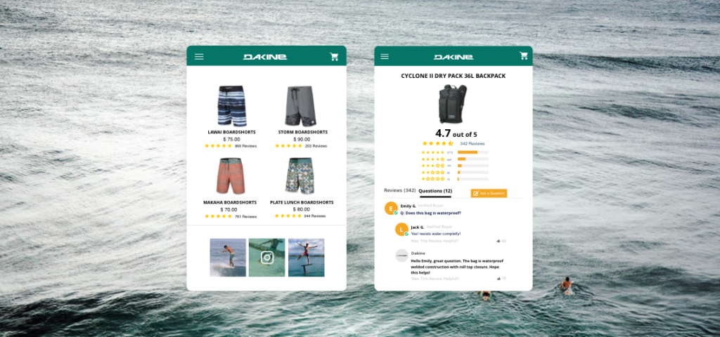 Dakine Ramps Up Customer Content Drives On Site Conversion 2 Dakine | Case Study 19