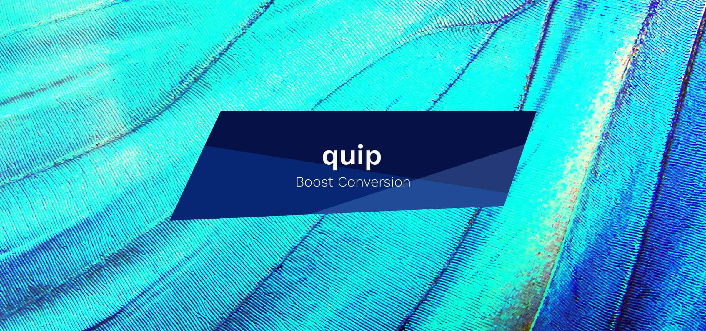 reviews instagram stories highlights