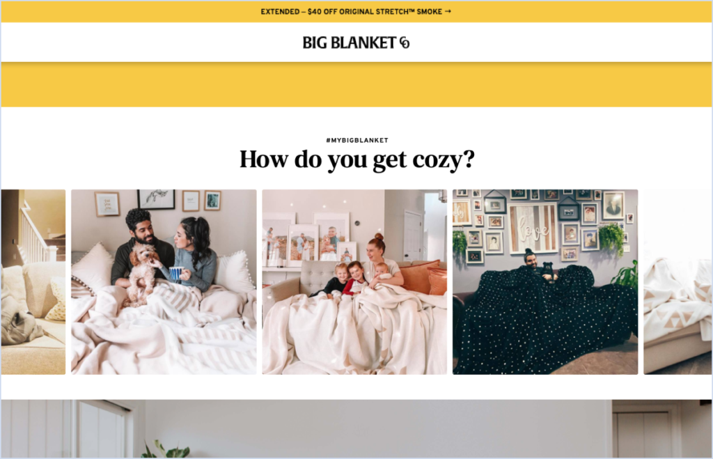 thenimetyou copy The Best Shopify Store Examples That Will Inspire Your Brand 5