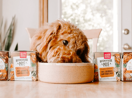 Dog eating food from The Honest Kitchen