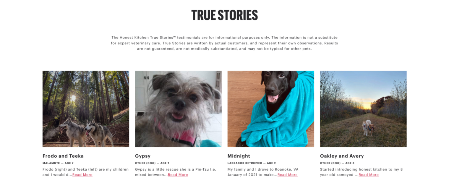 Best Customer Loyalty Programs With Powerful Examples | Yotpo