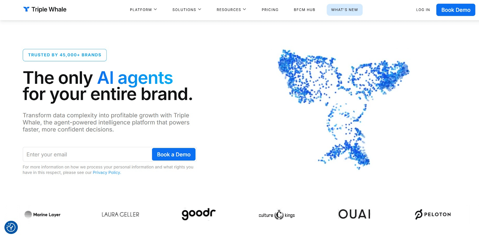 unnamed 5 Top 10 Ecommerce Affiliate Programs to be a Part of in 2026 36 unnamed 5 Top 10 Ecommerce Affiliate Programs to be a Part of in 2026 35