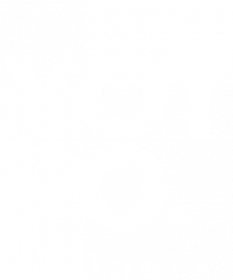 partnr logo